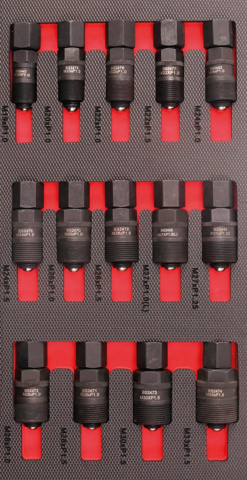 _Moduleinlage Moduleinlagen