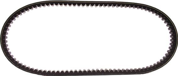 MALOSSI V-belt "Verstärkt" Keilriemen,Zahnriemen