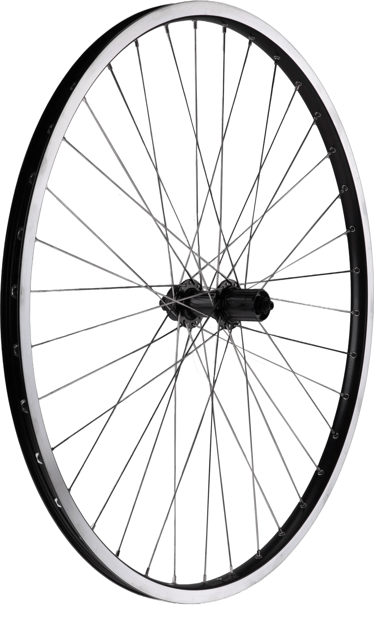 CONTEC_Hinterrad Laufräder