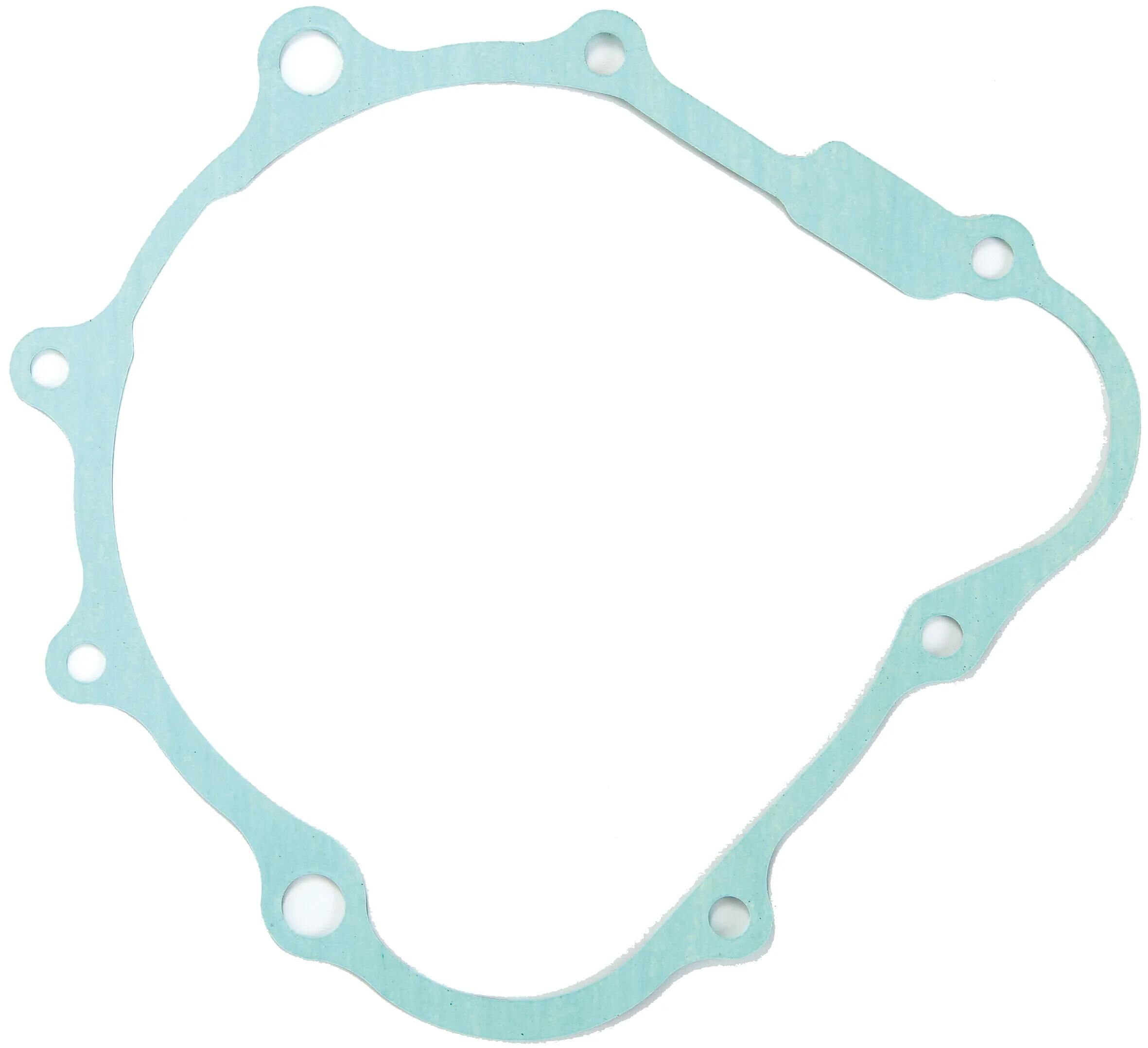 _Lichtmaschinendichtung Dichtungen und Dichtungssätze