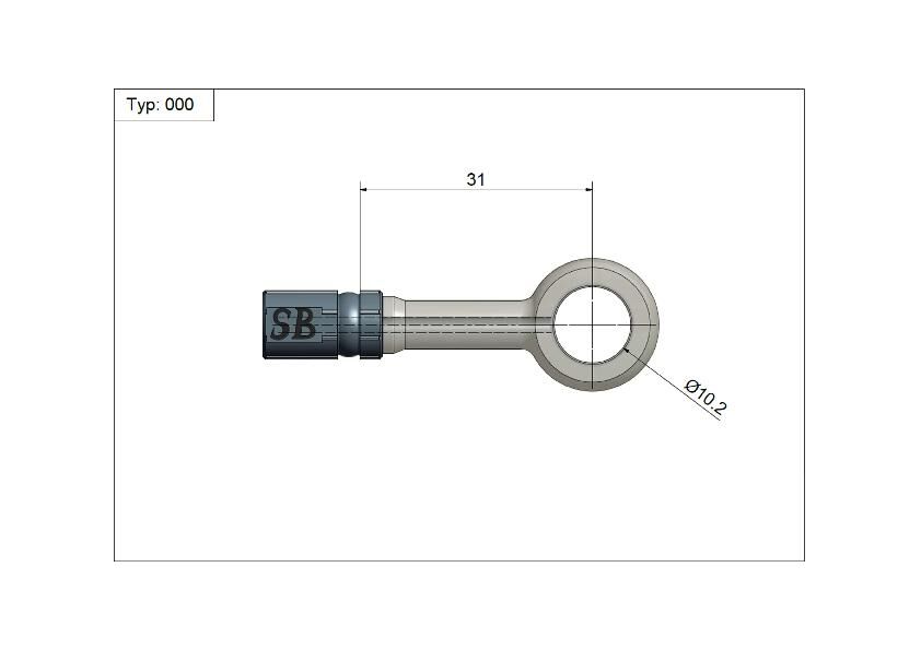 _Ringanschluss Bremsleitungen,Bremsschläuche