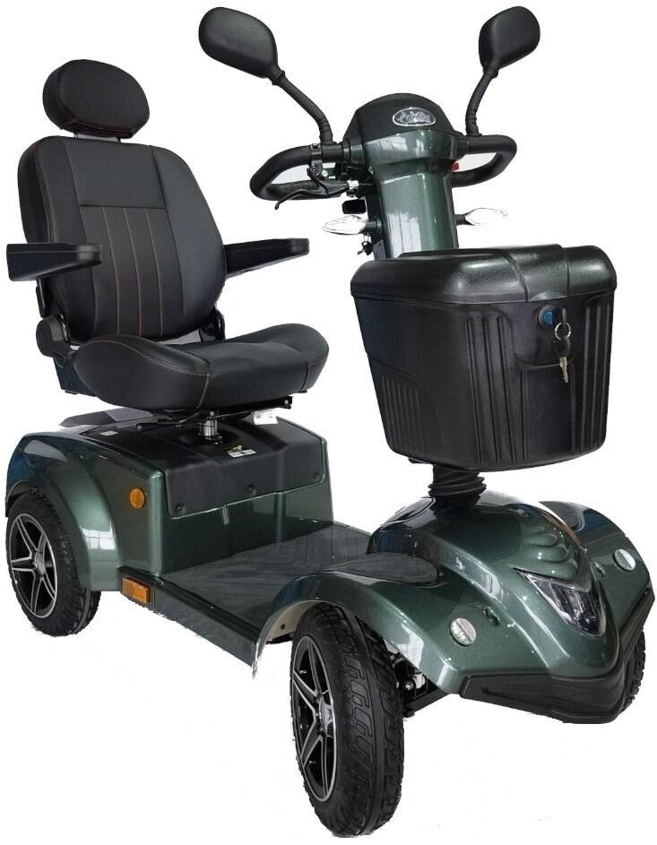 aktiv DEUTSCHLAND_Elektromobil_Neufundland_2 Elektromobile,Elektromobil