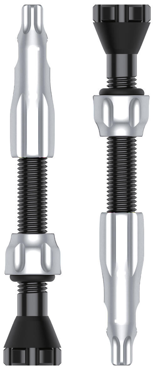 _Tubeless-Ventil Ventile