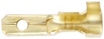 _Flachstecker Flachstecker