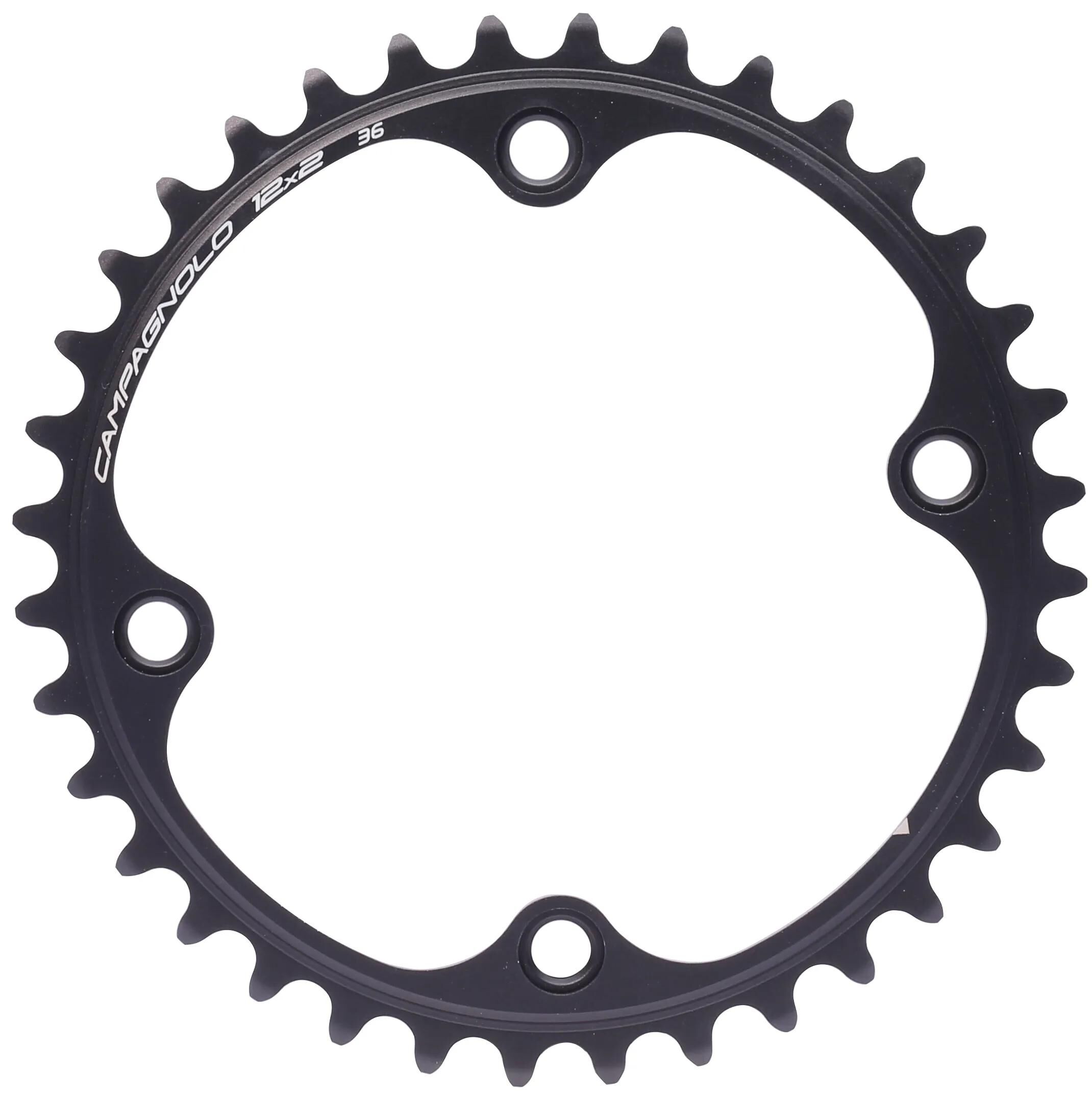 Campagnolo_Kettenblatt Kettenblätter