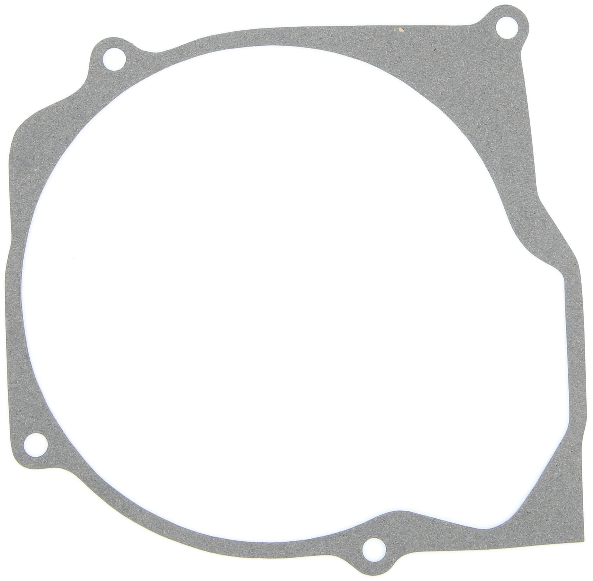 _Lichtmaschinendichtung Dichtungen und Dichtungssätze