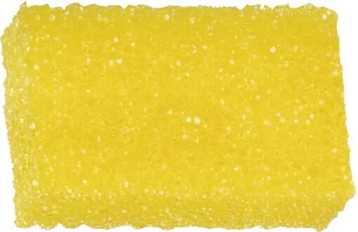 AUTOSOL_Insektenschwamm Schwämme