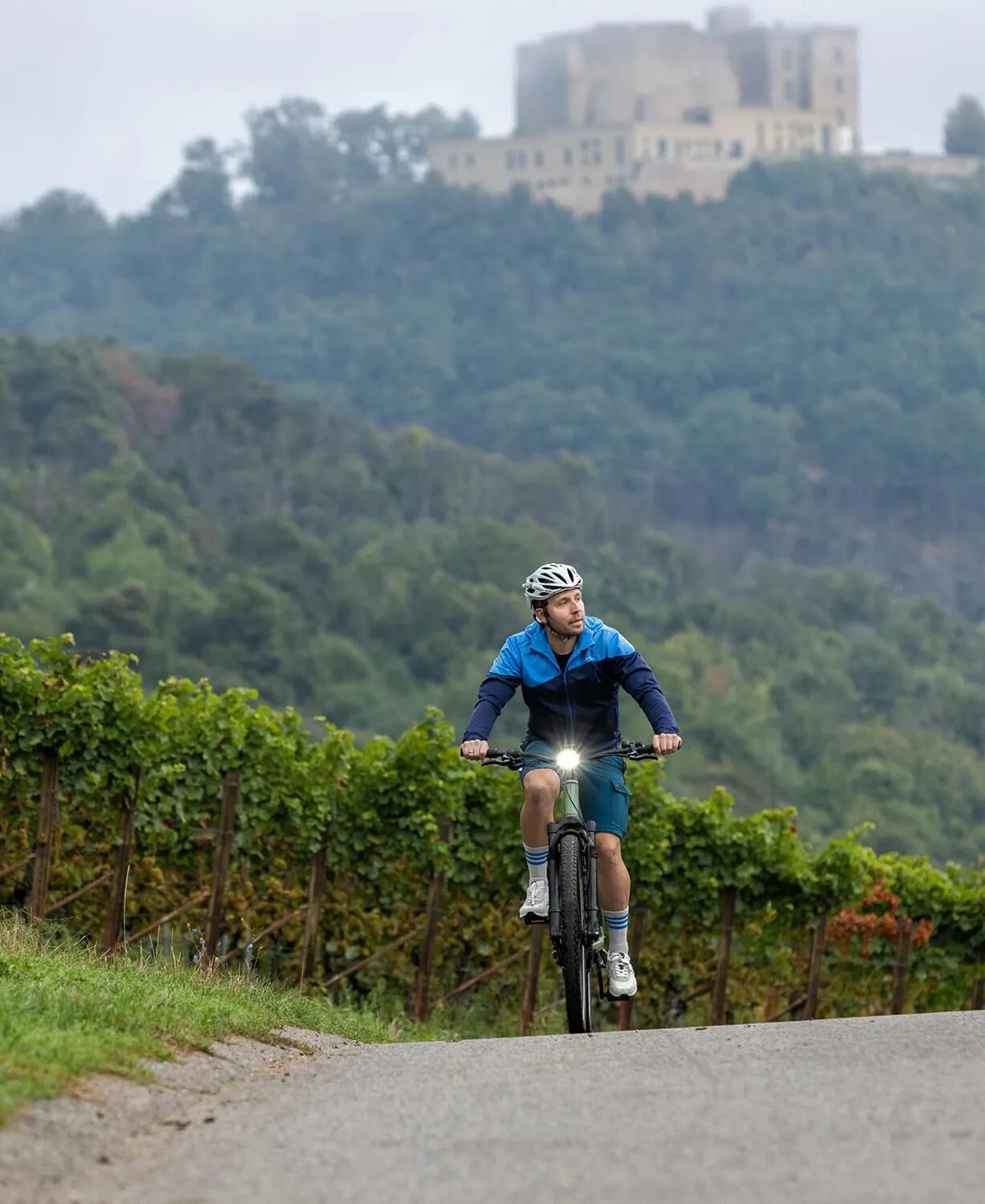 _Steuereinheit Elektrozubehör