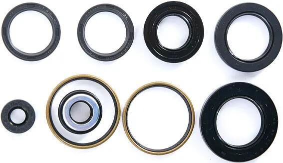 ATHENA_Motorsimmerringsatz Simmerringe