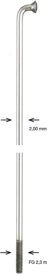 alpina_Speiche Speichen