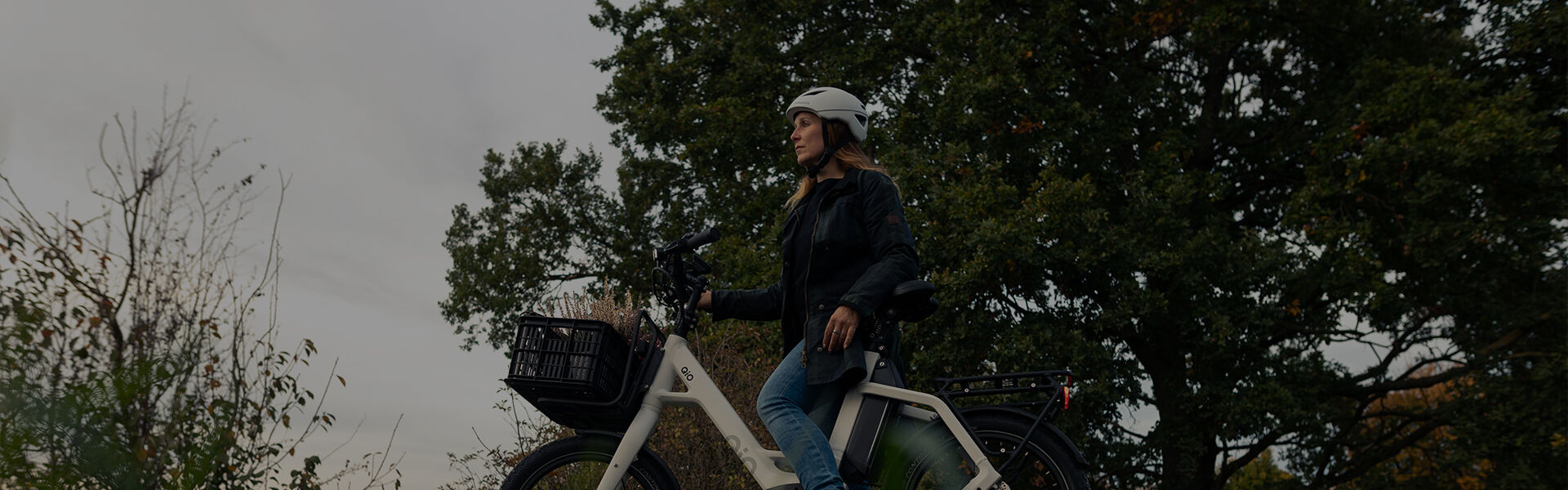 header.bannerAltText