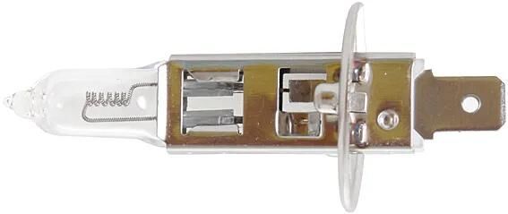 COREXX_Hauptlampe H1 Hauptlampen,Hauptlampen,Glühlampen
