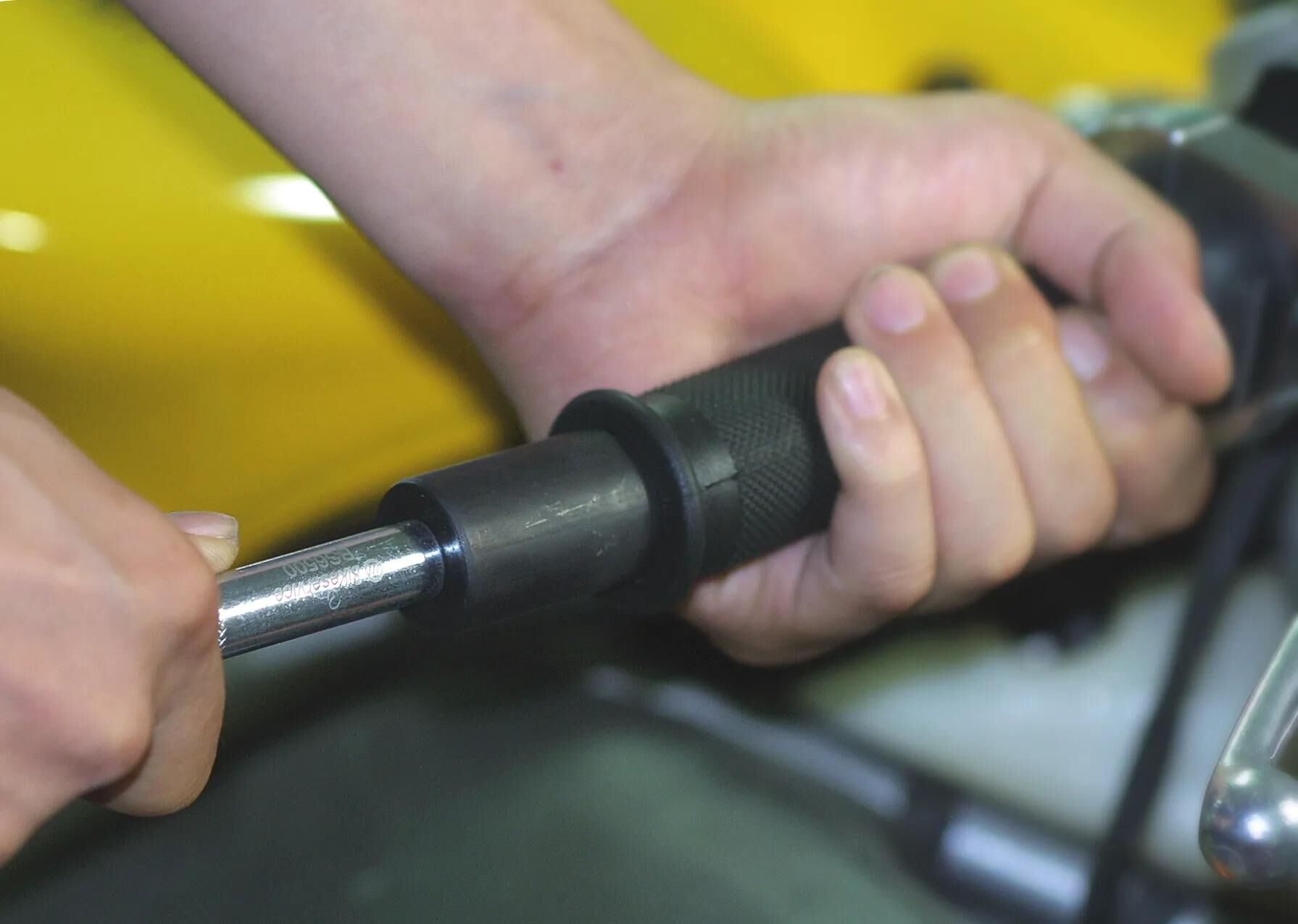 _Griffendenschneider Griffendenschneider