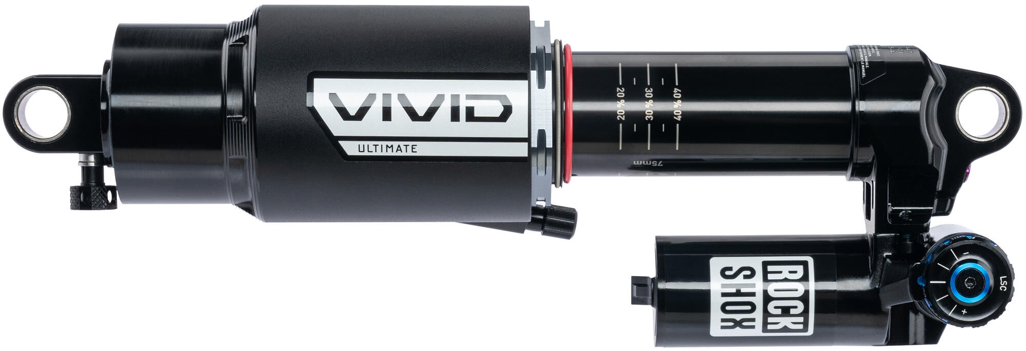 _Federbein Federbeine