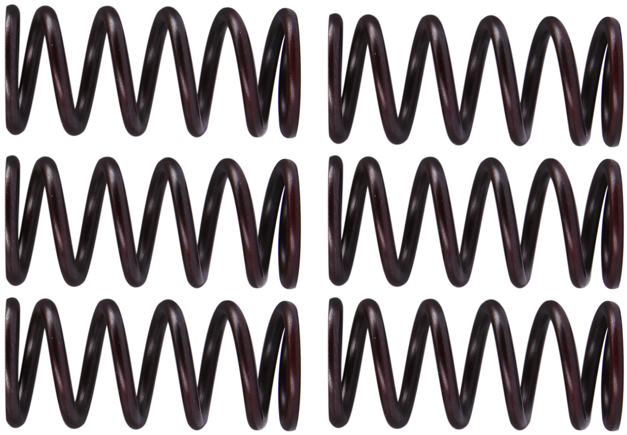 _Kupplungsfedernsatz Kupplungsfedern