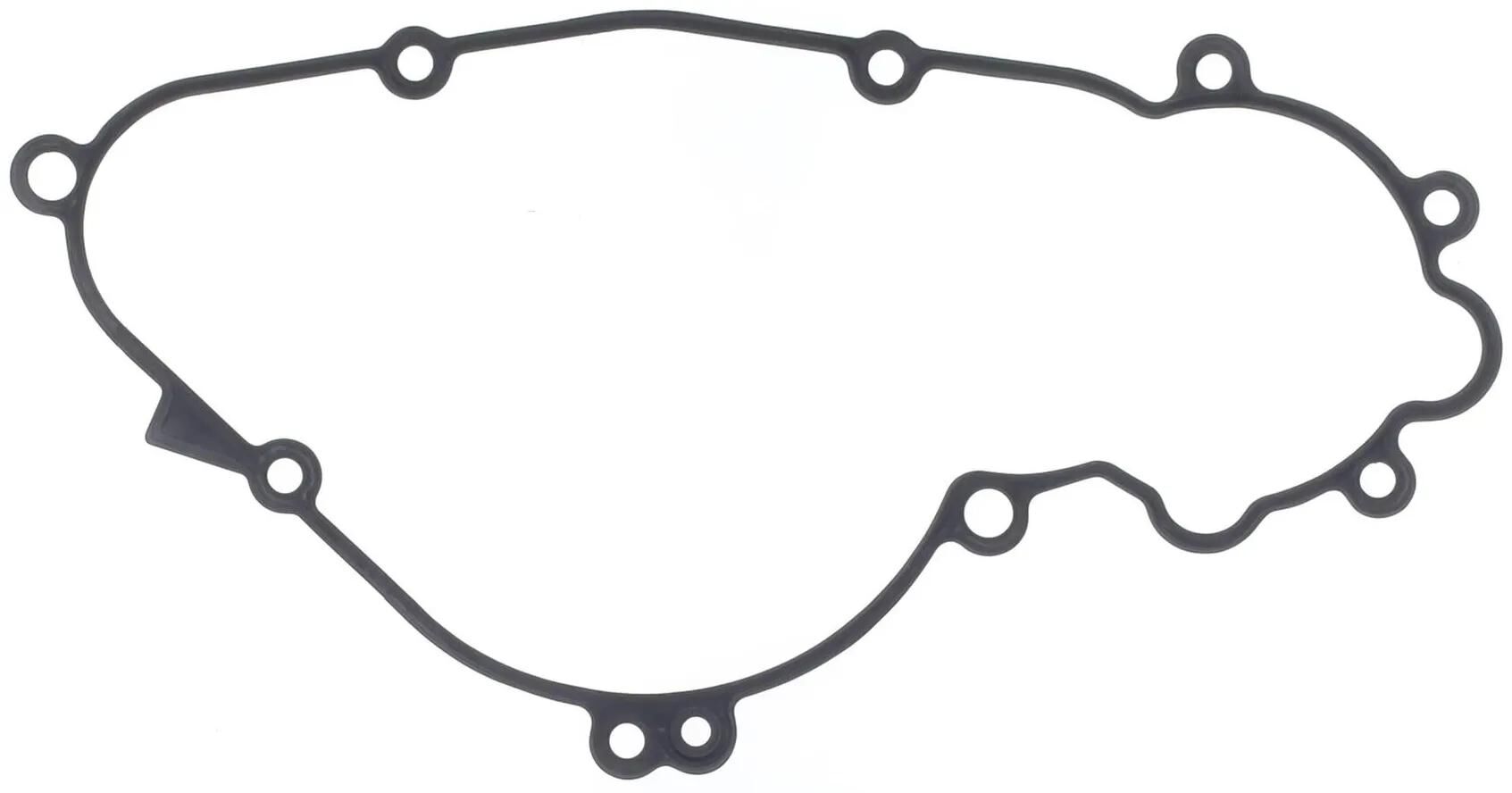 _Lichtmaschinendichtung Dichtungen und Dichtungssätze