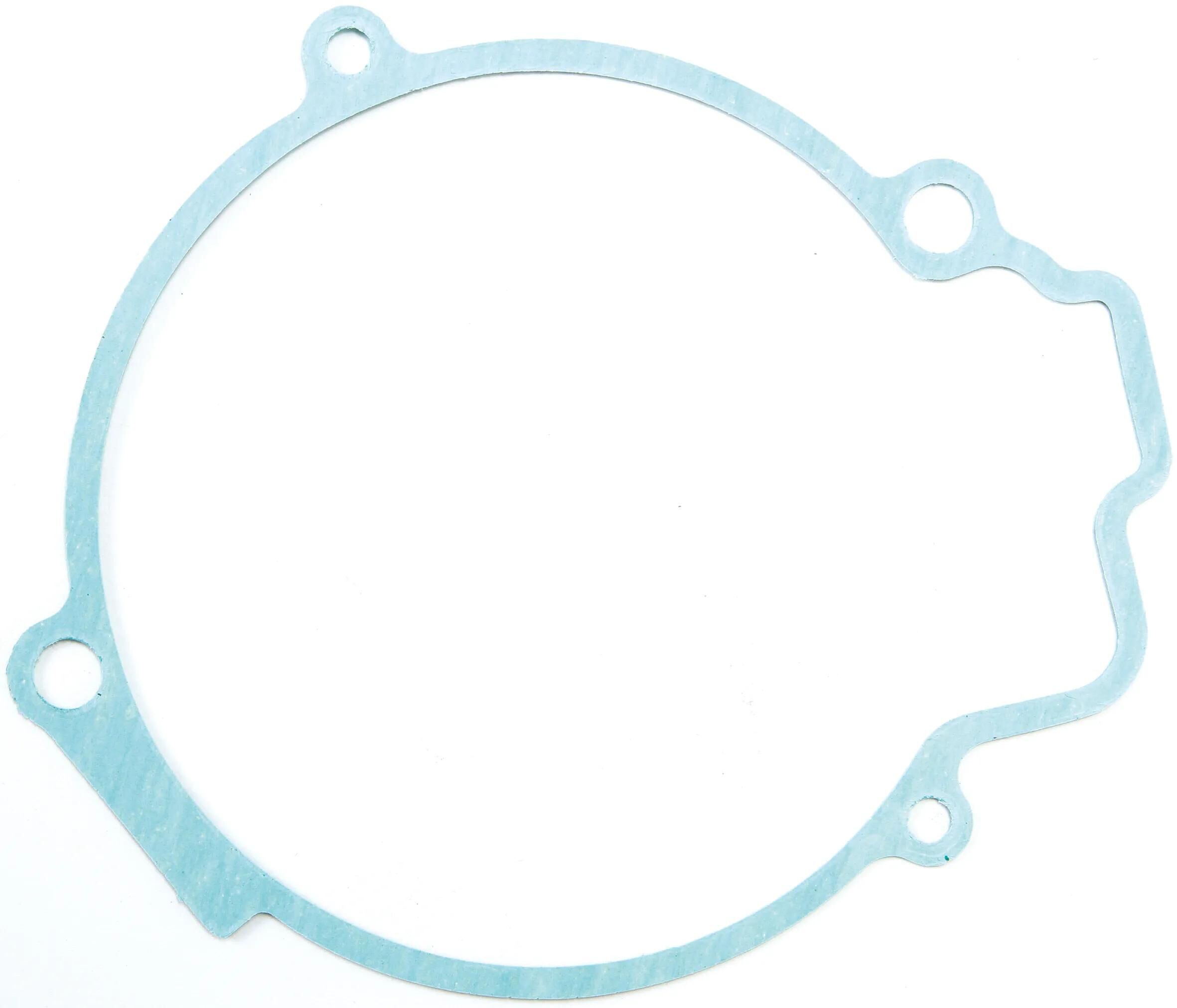 _Lichtmaschinendichtung Dichtungen und Dichtungssätze