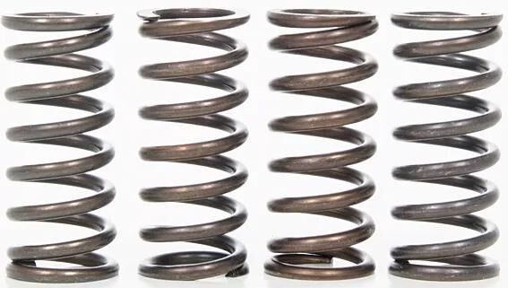 _Kupplungsfedernsatz Kupplungsfedern