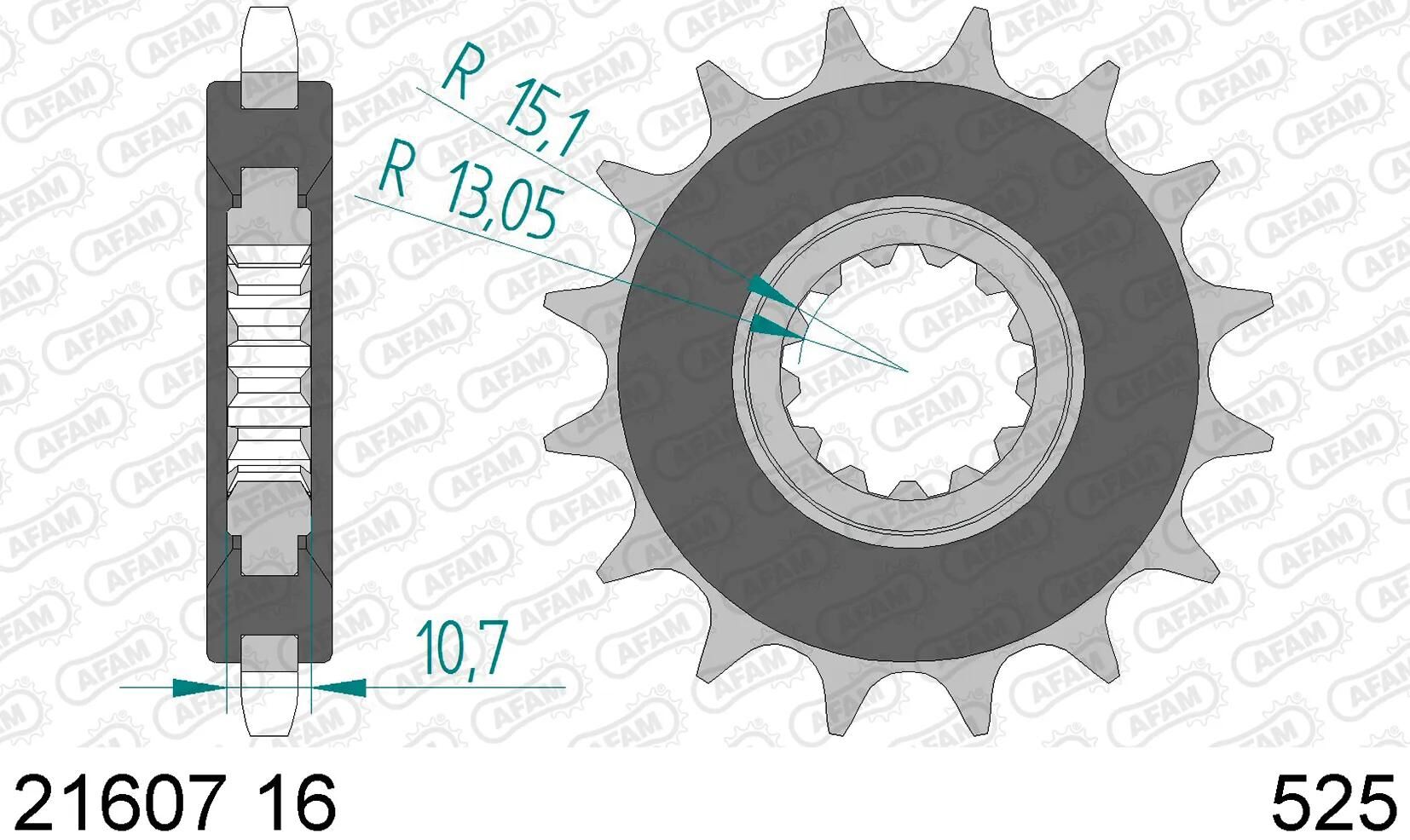 AFAM_Antriebsritzel Antriebsritzel,Ritzel