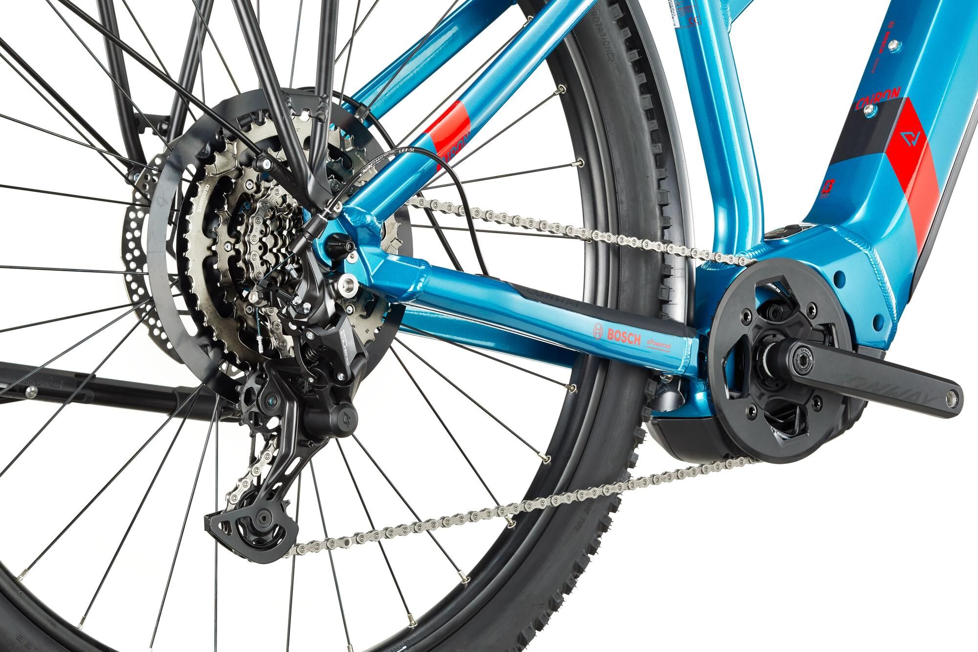 ,Hardtail