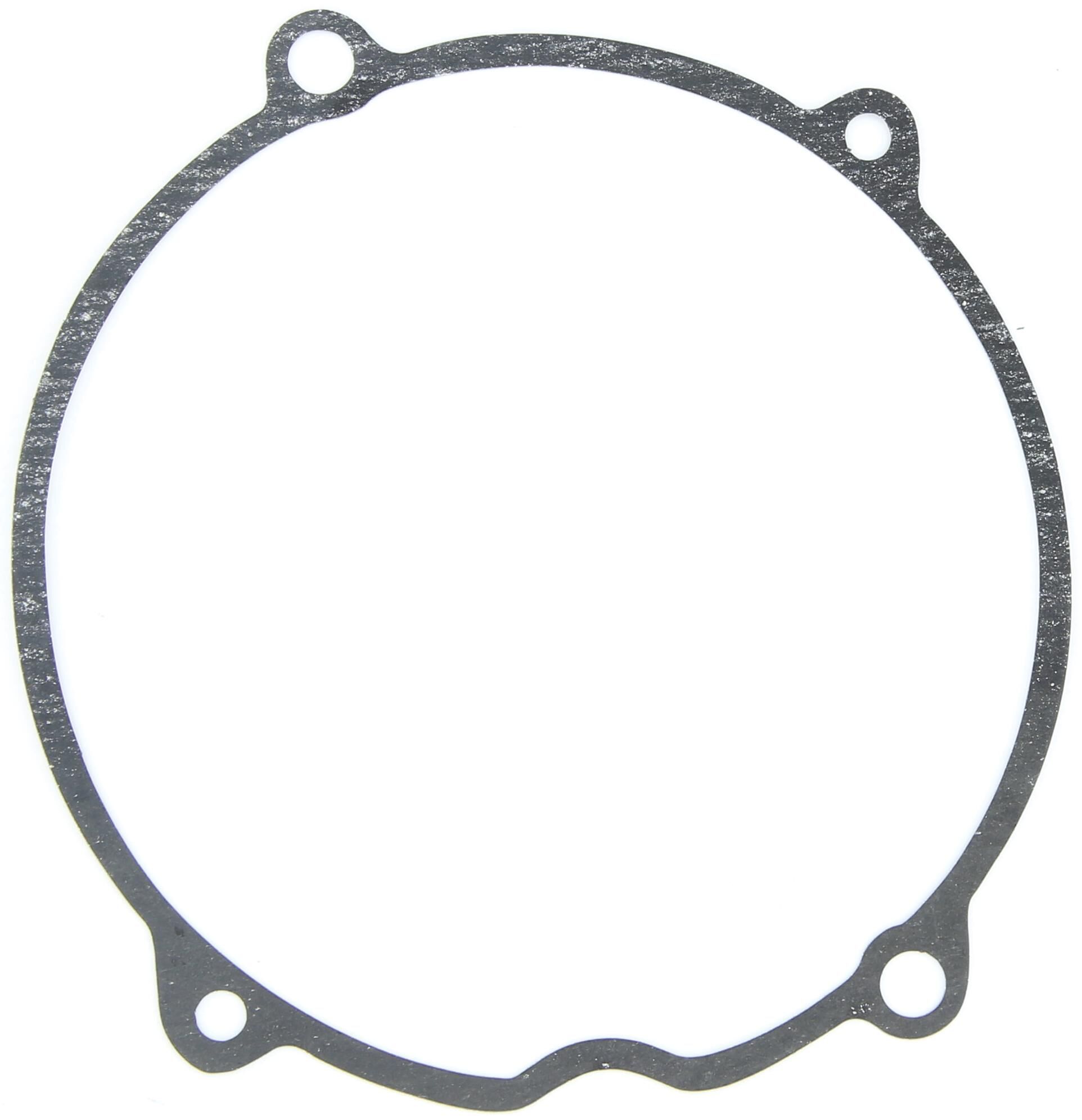 _Lichtmaschinendichtung Dichtungen und Dichtungssätze