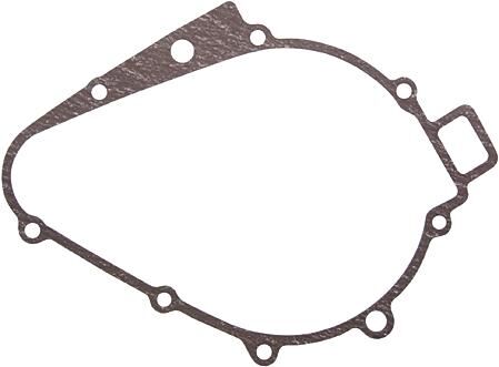 _Lichtmaschinendichtung Dichtungen und Dichtungssätze