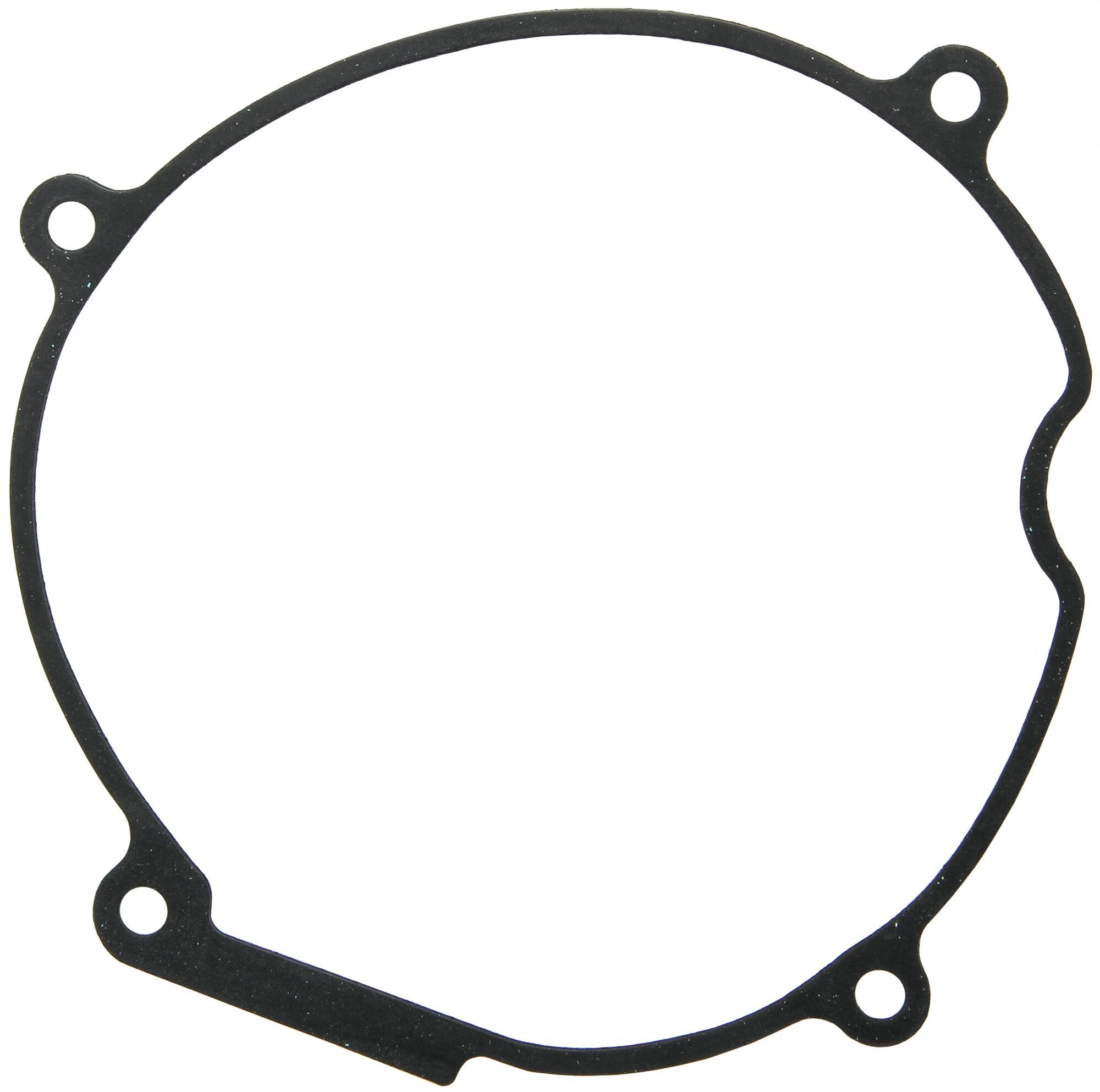 _Lichtmaschinendichtung Dichtungen und Dichtungssätze