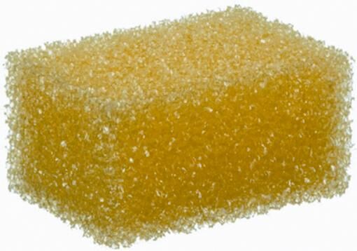 _Insektenschwamm Insektenschwämme