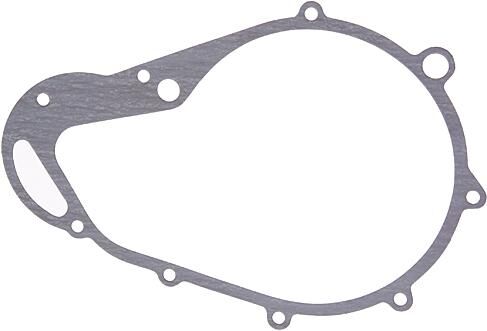 _Lichtmaschinendichtung Dichtungen und Dichtungssätze