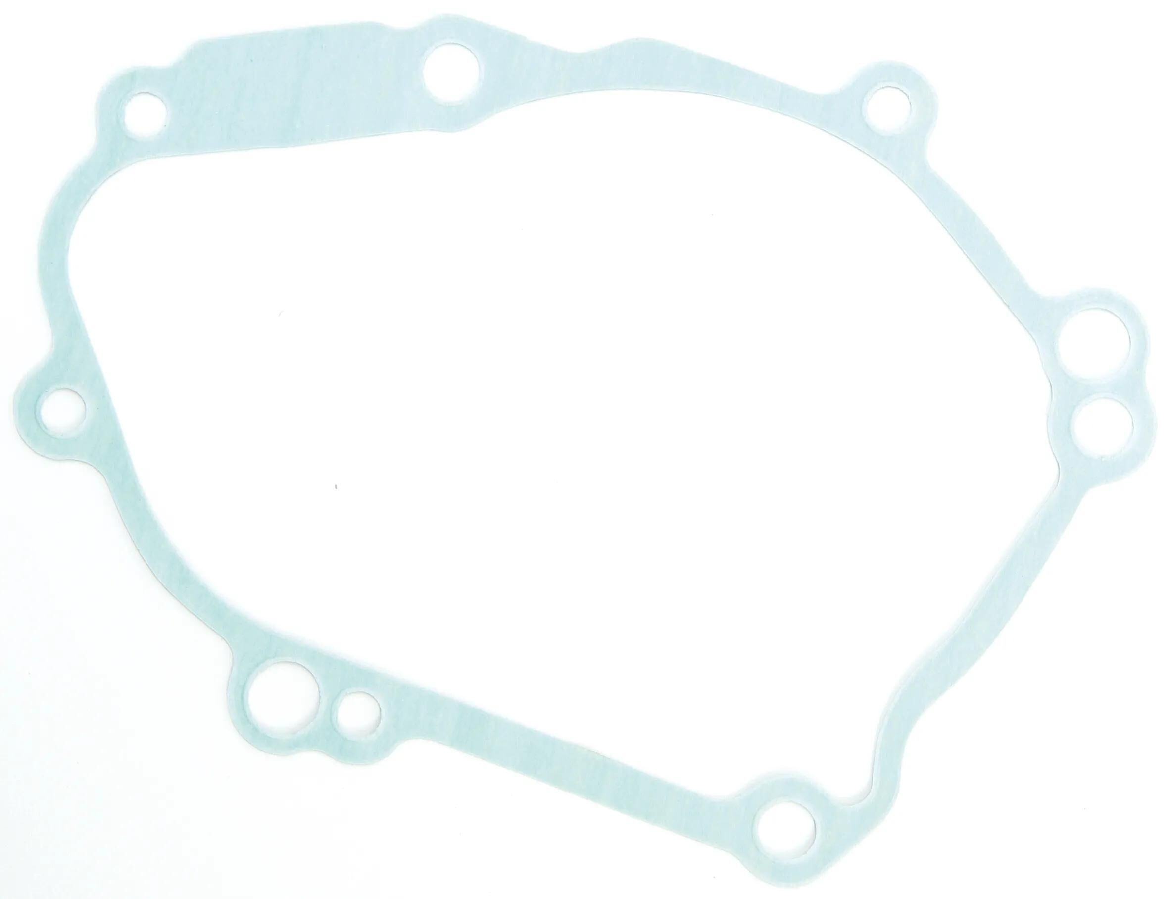 _Lichtmaschinendichtung Dichtungen und Dichtungssätze