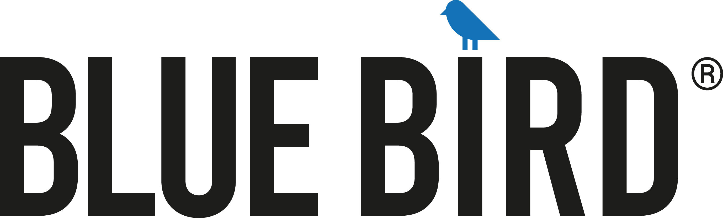 BLUE BIRD BLUE BIRD