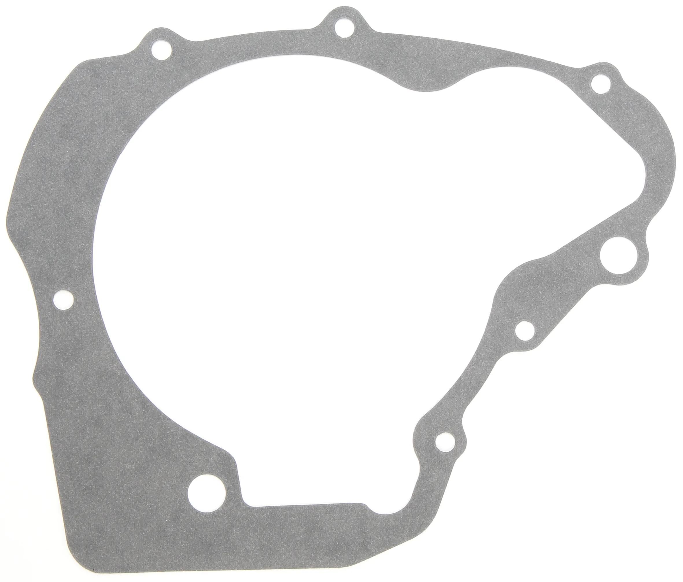 _Lichtmaschinendichtung Dichtungen und Dichtungssätze