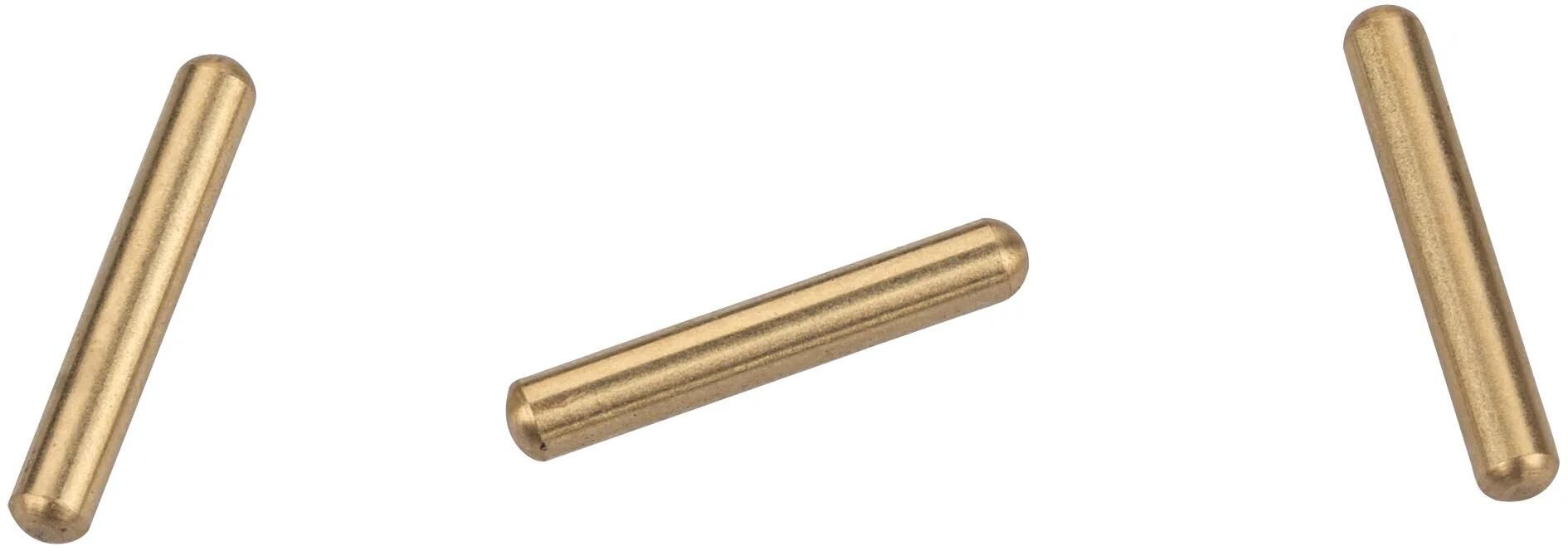 ROCKSHOX_Führungsstifte Federgabel - Ersatz