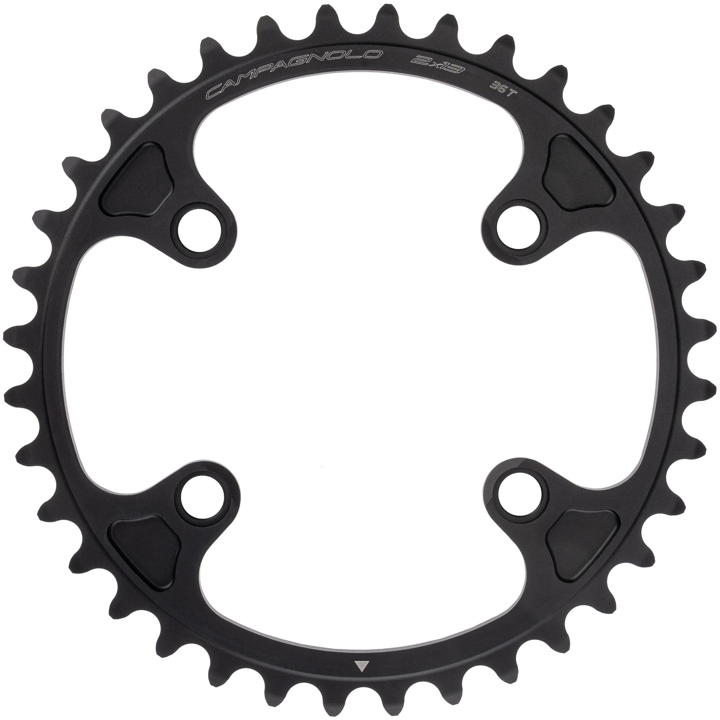 Campagnolo_Kettenblatt Kettenblätter