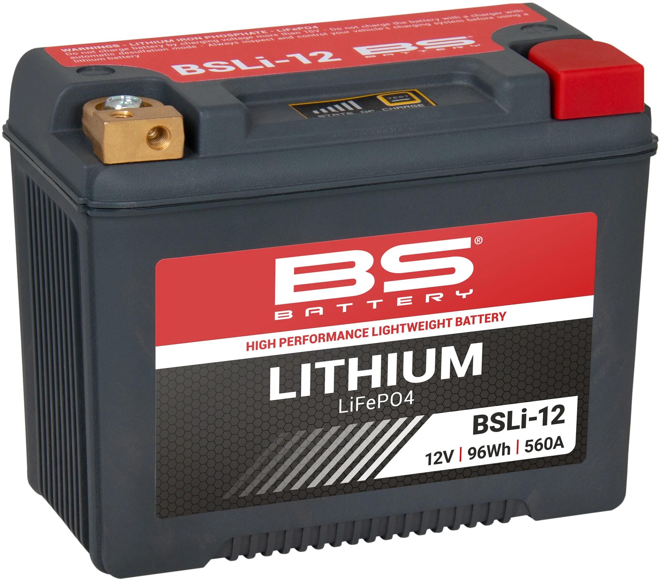 BS-BATTERY_LiFePO4 Batterie Batterien,Akkus