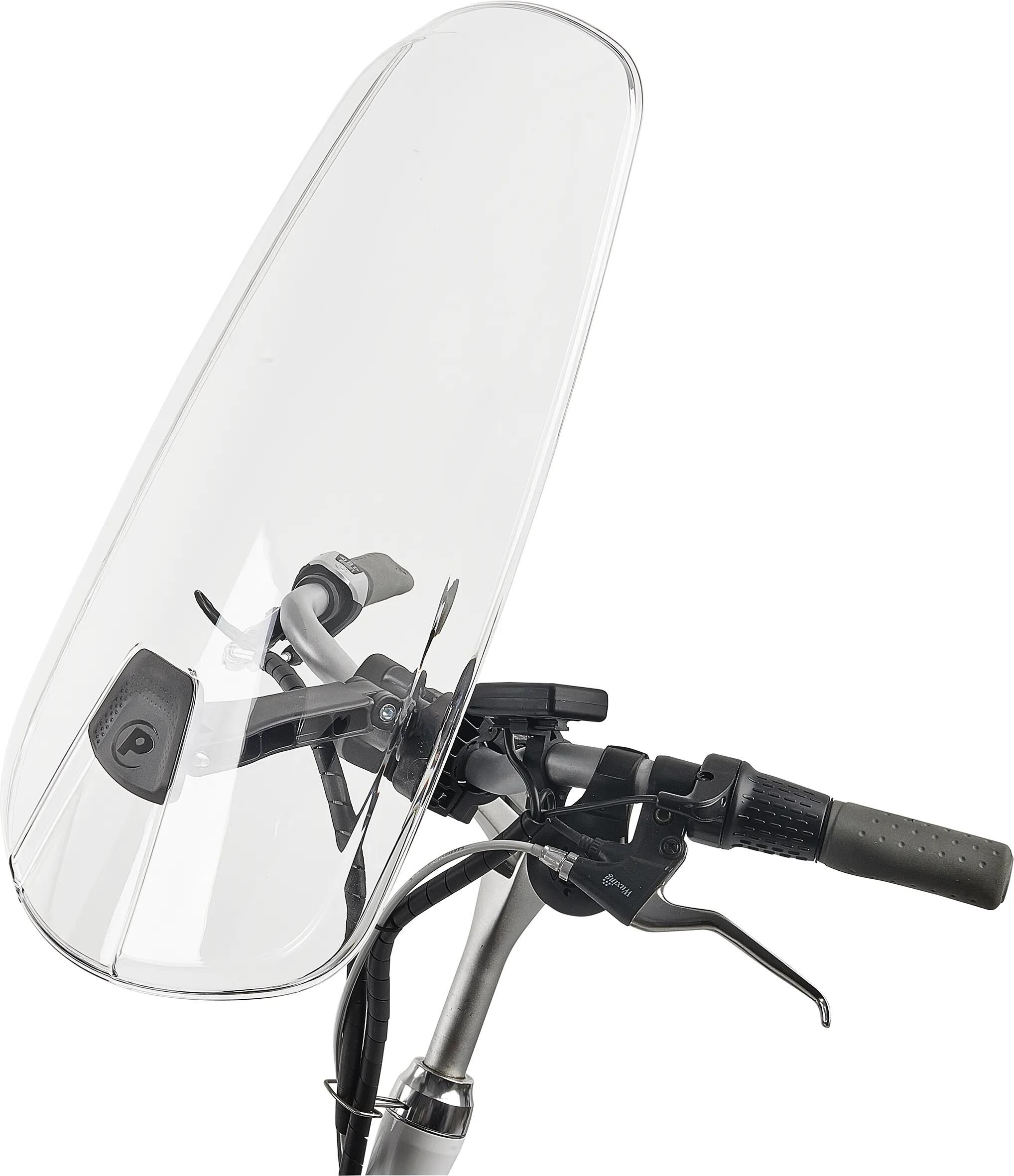 _Windschutzscheibe Windschutzscheiben