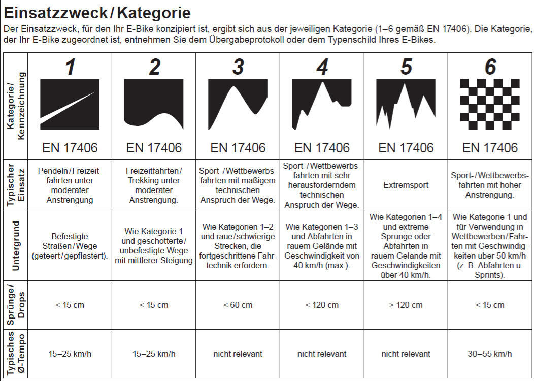 _Elektro-MTB Full-Suspension_Ryvon LT 10.0_6 ,Full Suspension