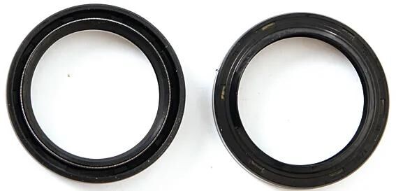 _Gabelsimmerringsatz Gabelsimmerringe,Simmerringe