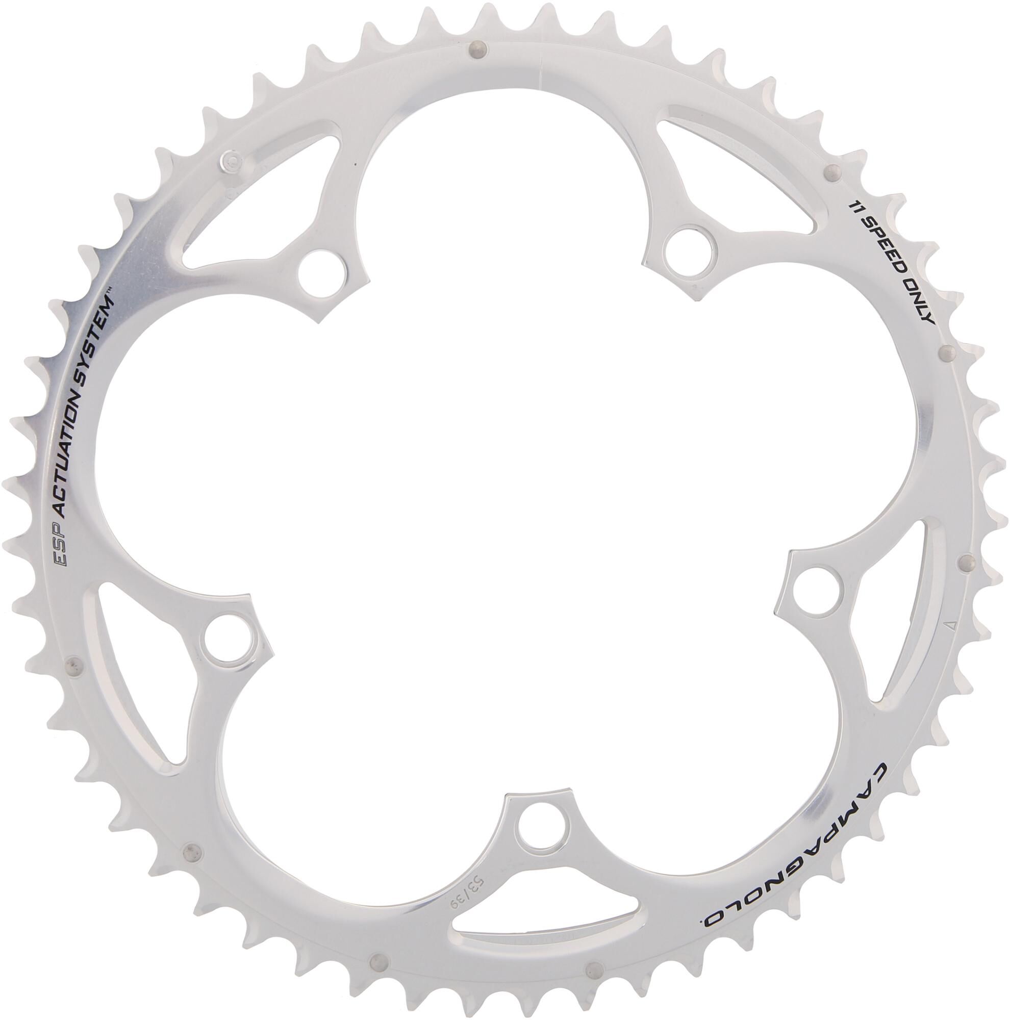 _Kettenblatt Kettenblätter