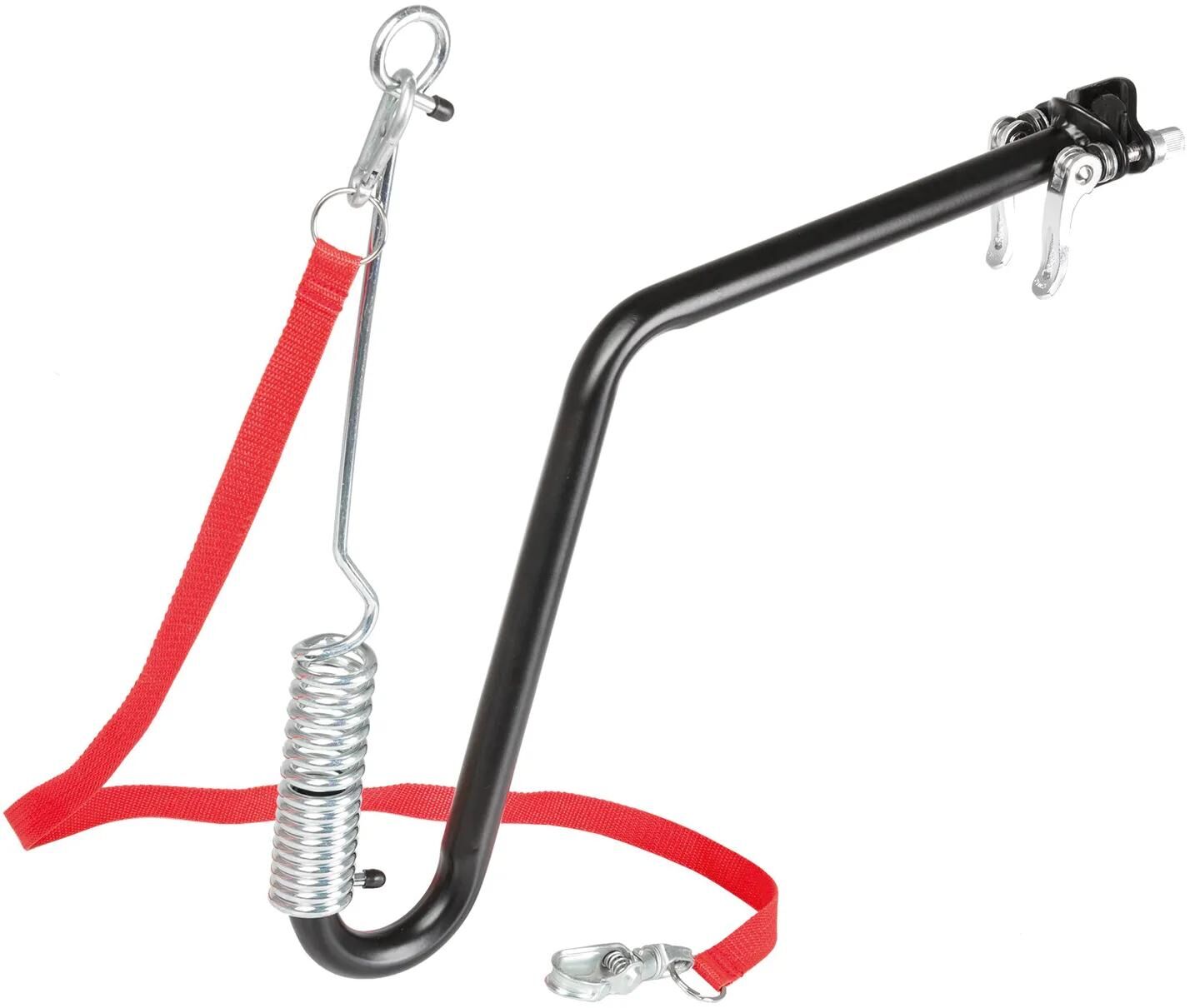 _Fahrradhundehalter Hundehalter