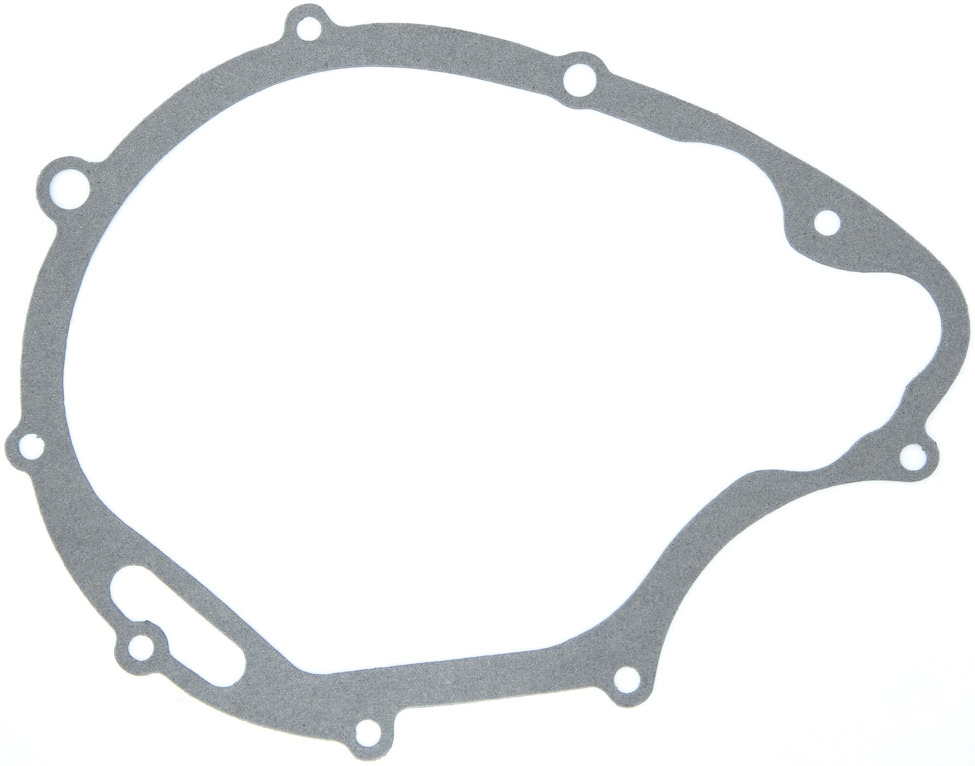 _Lichtmaschinendichtung Dichtungen und Dichtungssätze