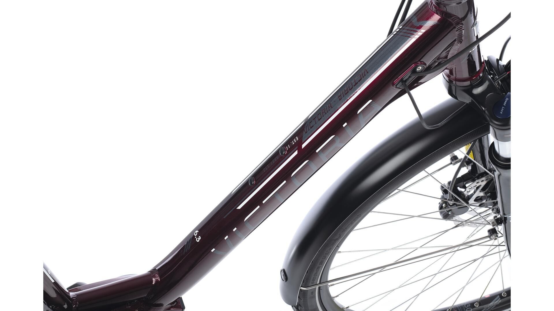 Elektro-Trekkingräder,Trekkingräder,Elektroräder,Fahrräder,Trekkingrad