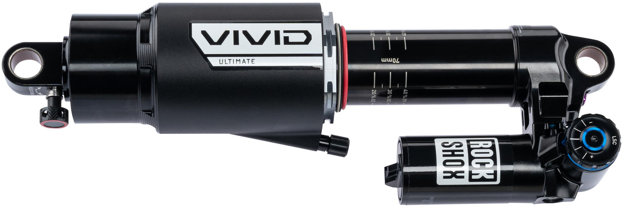 _Federbein Federbeine