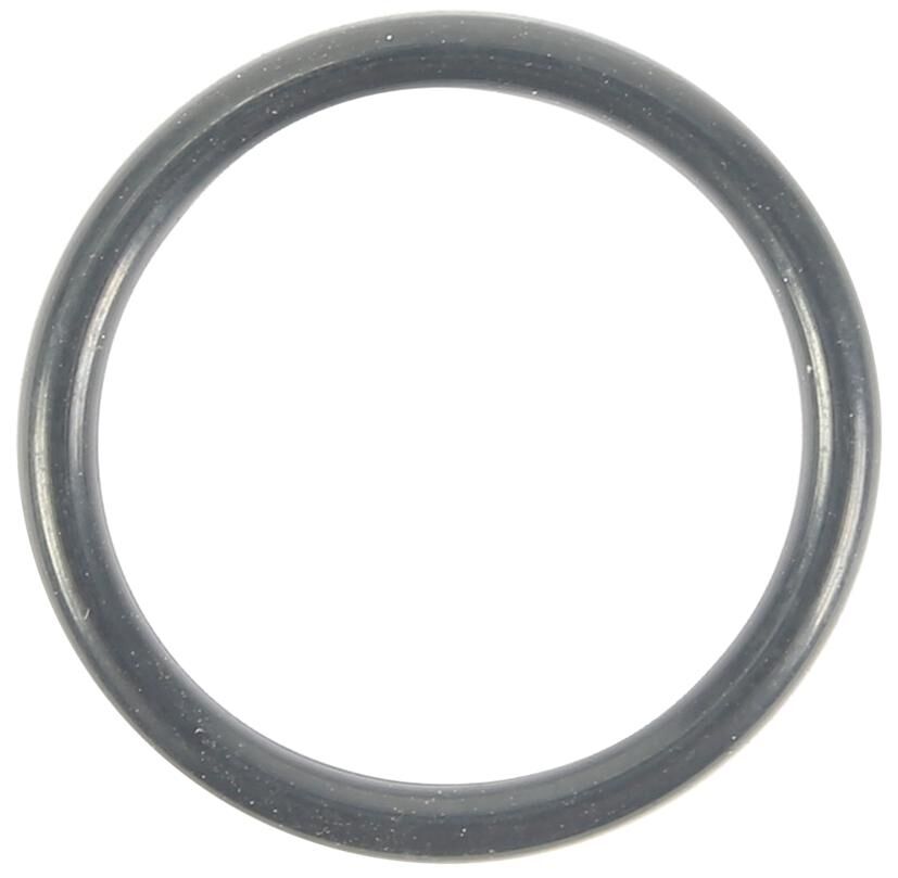 _Benzinfilterdichtung Benzinfilter,Filter,Kraftstofffilter