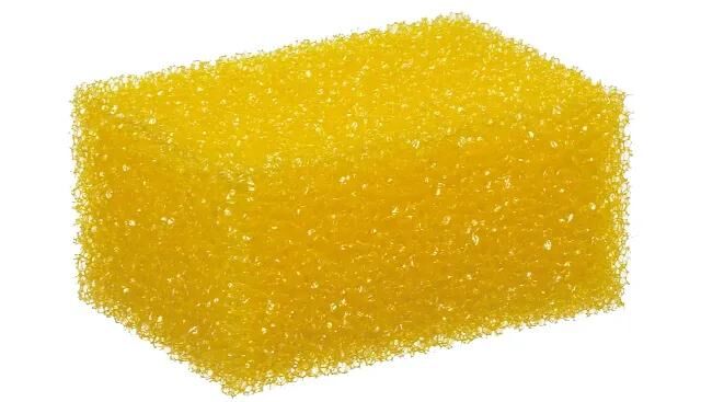 _Insektenschwamm Insektenschwämme